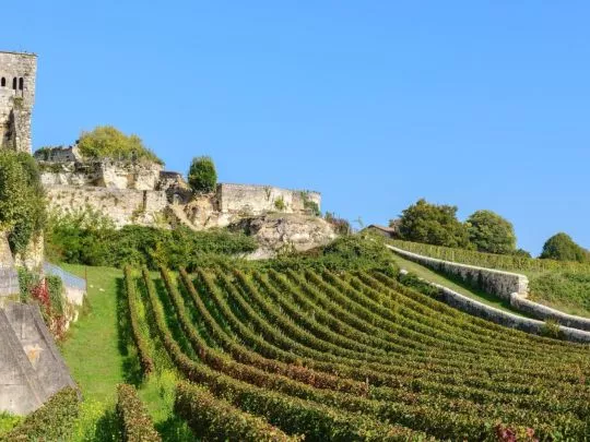 image2 - Une journée à Saint-Émilion : Découvrir, manger, visiter des châteaux et déguster des vins. 